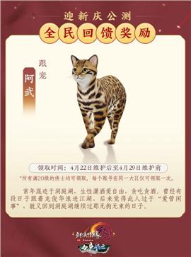 新开中变合击天龙八部私服